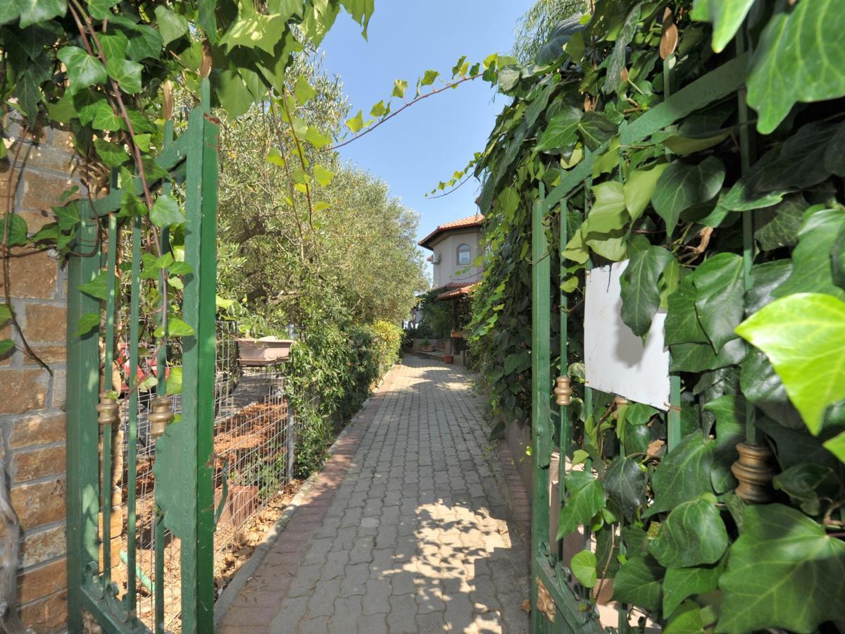 Alice Wonderland Home Nea Flogita Halkidiki 外观 照片